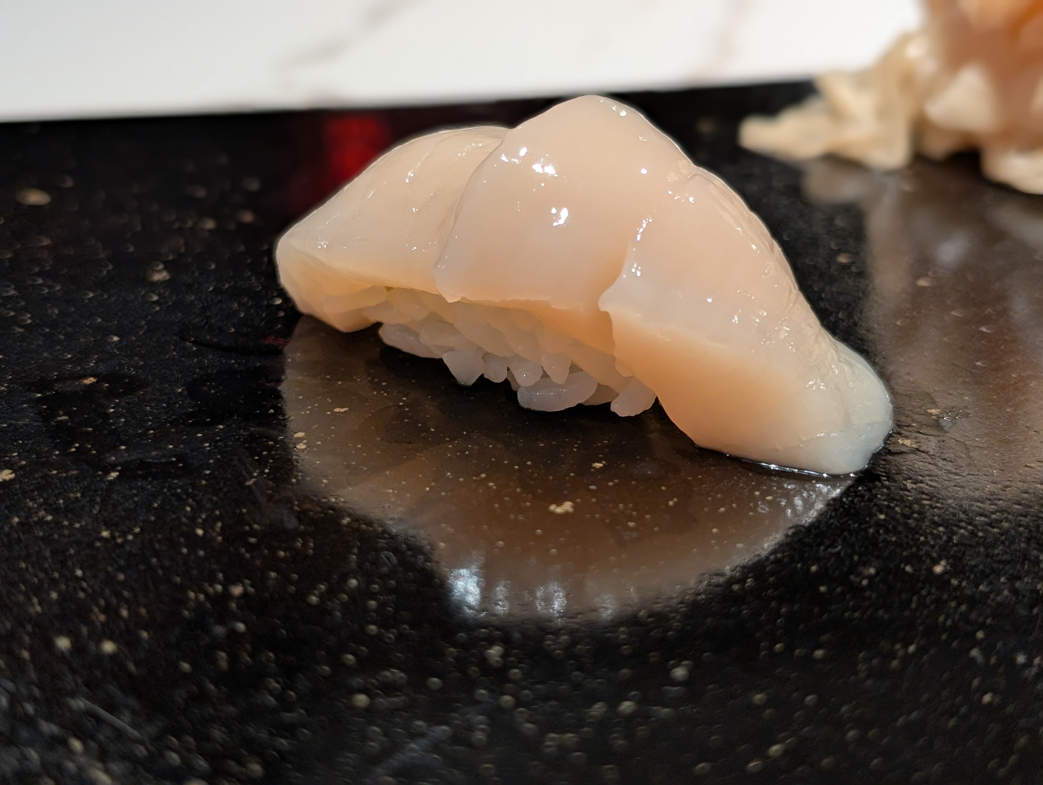 Scallop